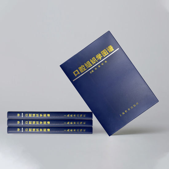 图片 口腔组织学图谱