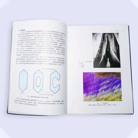 图片 口腔组织学图谱